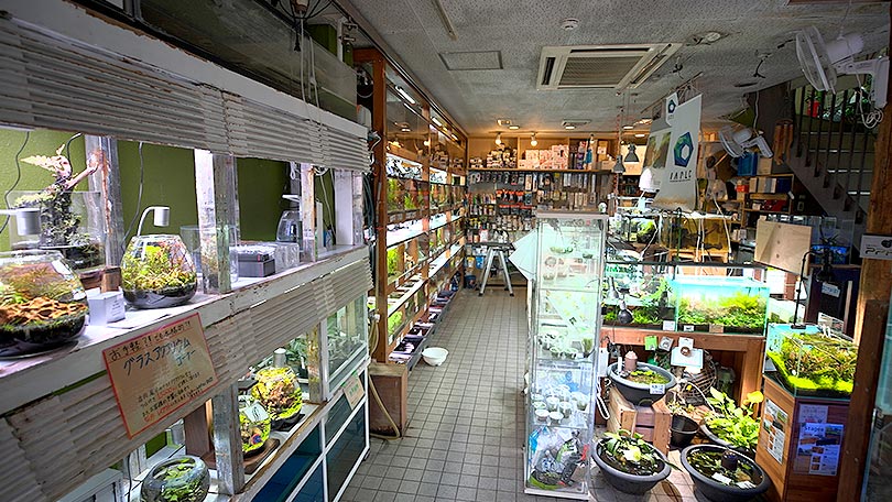 お店の紹介