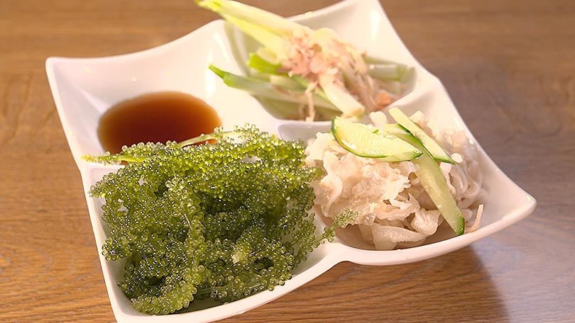 お店の紹介