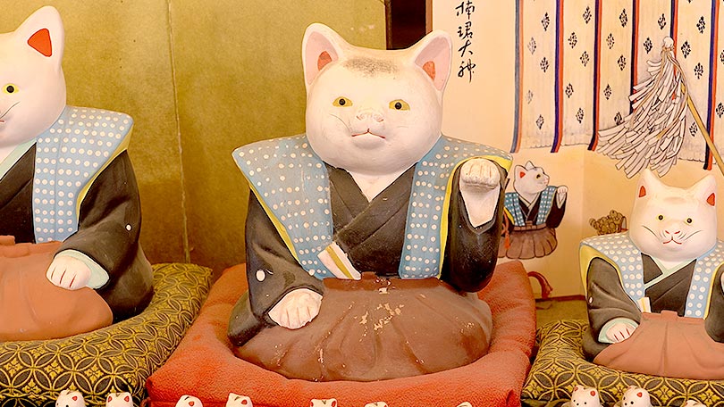 お店の紹介