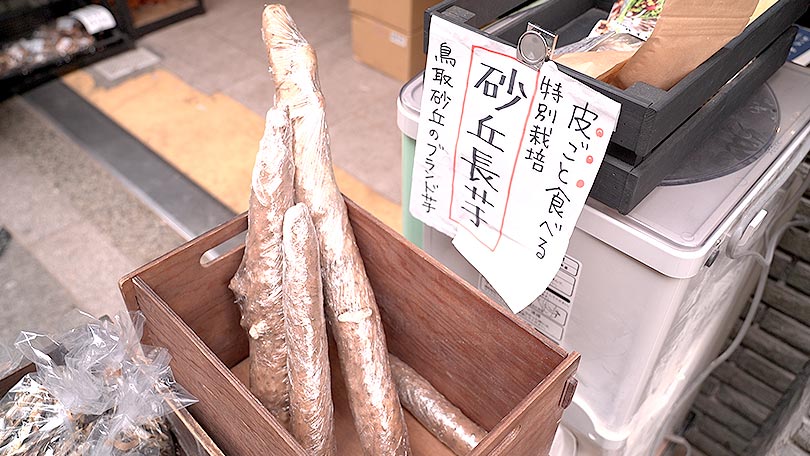 お店の紹介