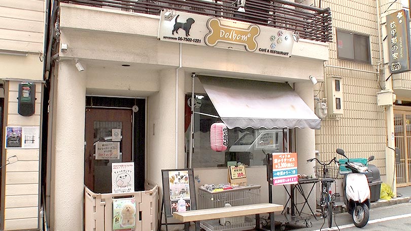 お店の紹介