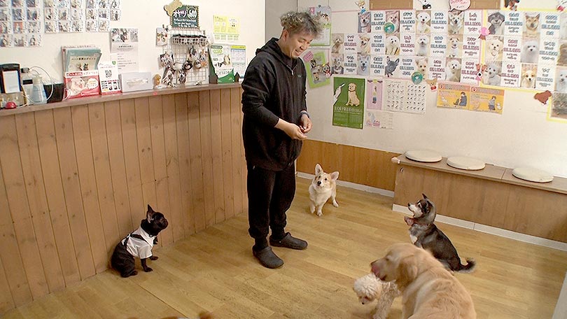お店の紹介