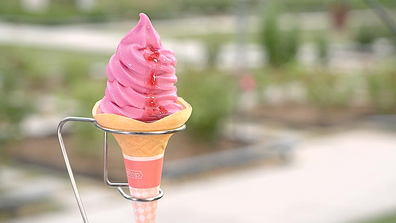 お店の紹介
