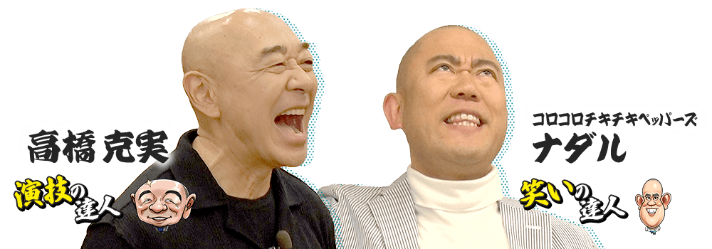 ゲスト