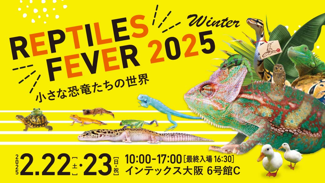 レプタイルズフィーバー2025winter ～小さな恐竜たちの世界～