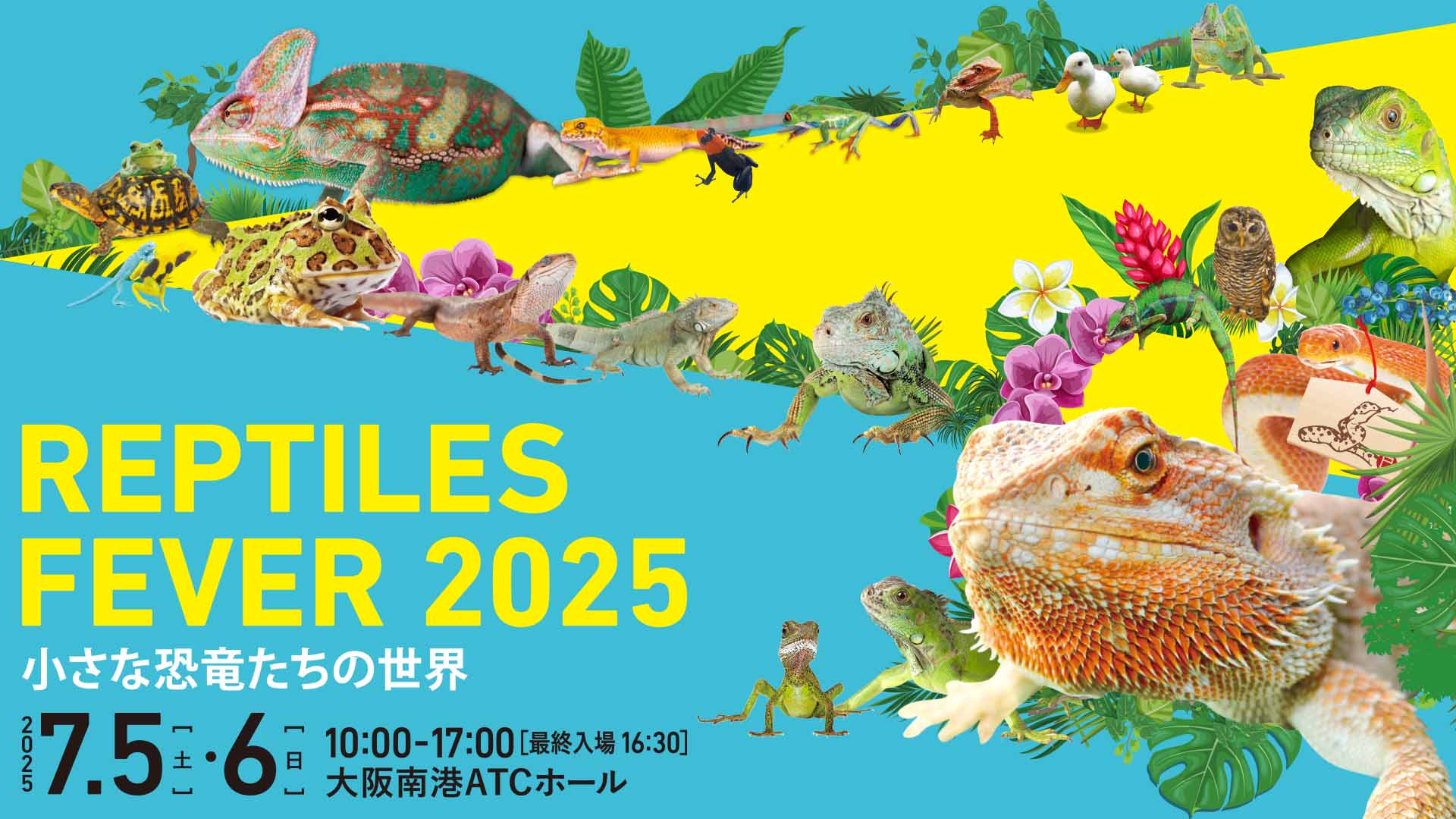 レプタイルズフィーバー 2025 ～小さな恐竜たちの世界～