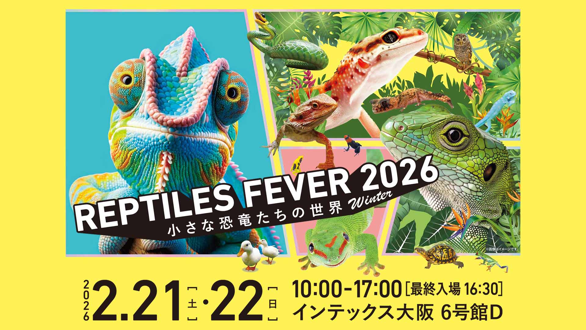 レプタイルズフィーバー2026winter ～小さな恐竜たちの世界～