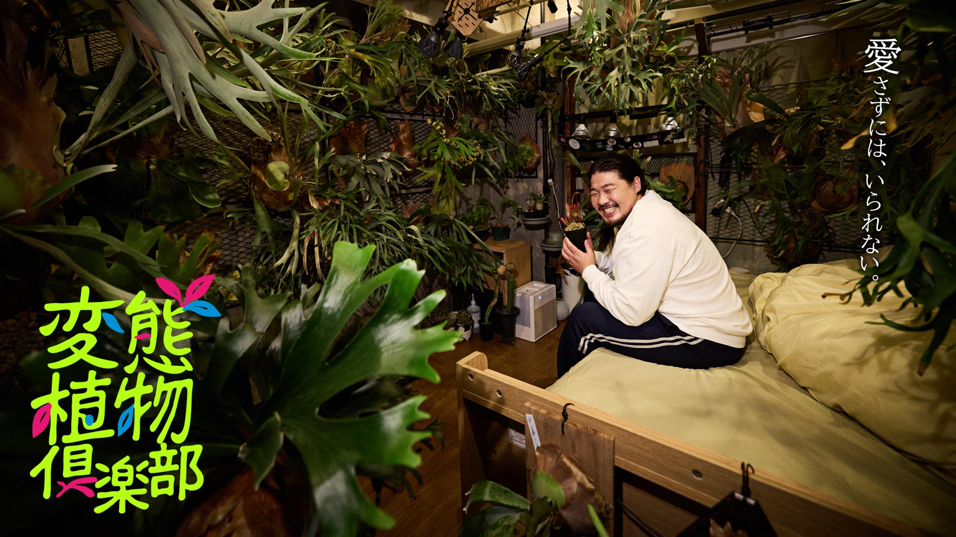 変態植物倶楽部