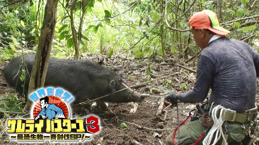 世界を救え サムライバスターズ3 四匹のおっさんが最恐生物一斉討伐sp Tvo テレビ大阪