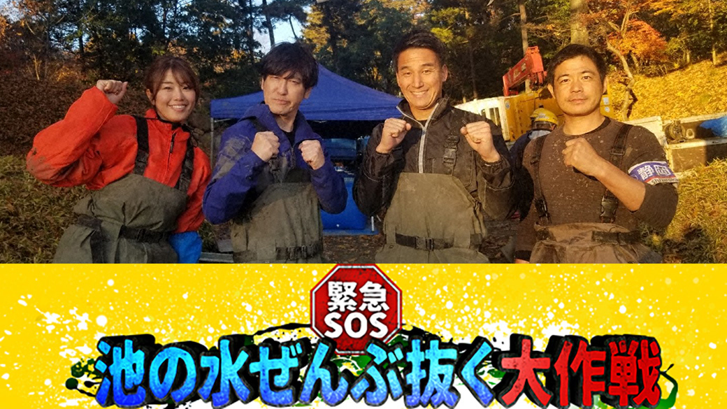 緊急sos 池の水ぜんぶ抜く大作戦 お宝出た出た 三大名城プロジェクト Tvo テレビ大阪