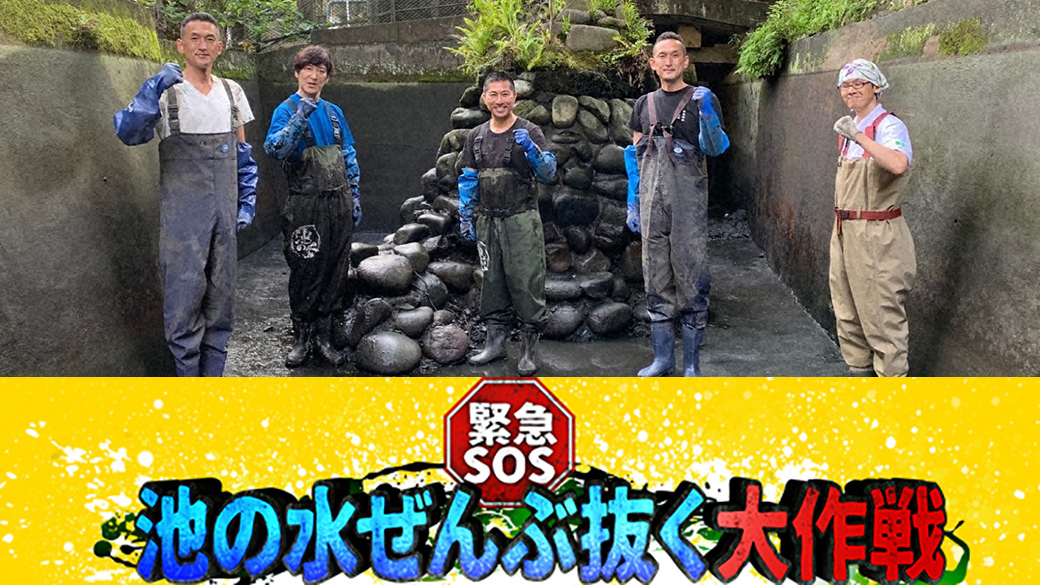 緊急sos 池の水ぜんぶ抜く大作戦 Tvo テレビ大阪