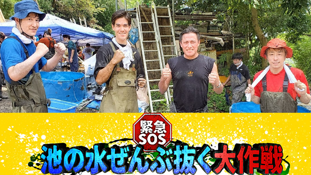 緊急sos 池の水ぜんぶ抜く大作戦スペシャル なにわ男子が収録参戦 Tvo テレビ大阪