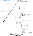 タックル図