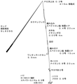 タックル図