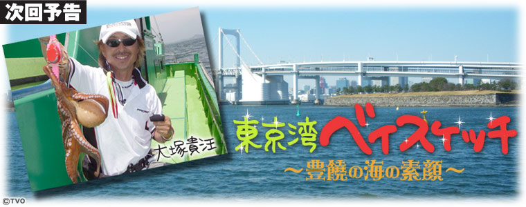 東京湾ベイスケッチ～豊饒の海の素顔～