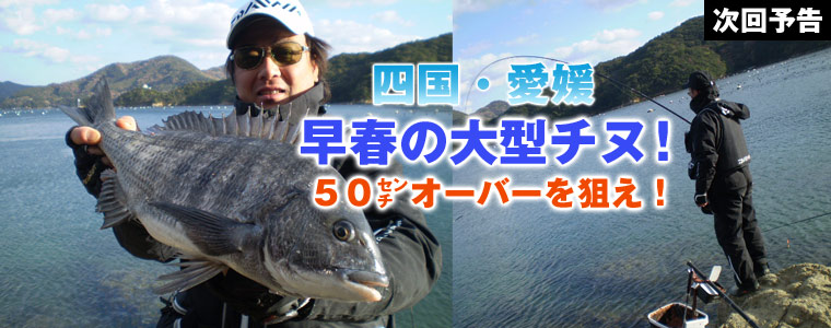 四国・愛媛 早春の大型チヌ 50センチオーバーを狙え！