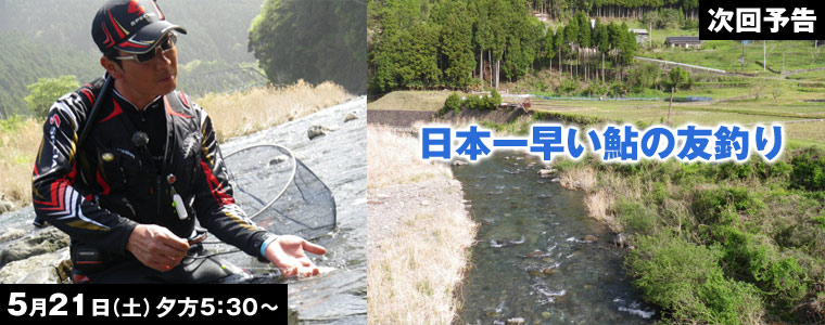 日本一早い鮎の友釣り