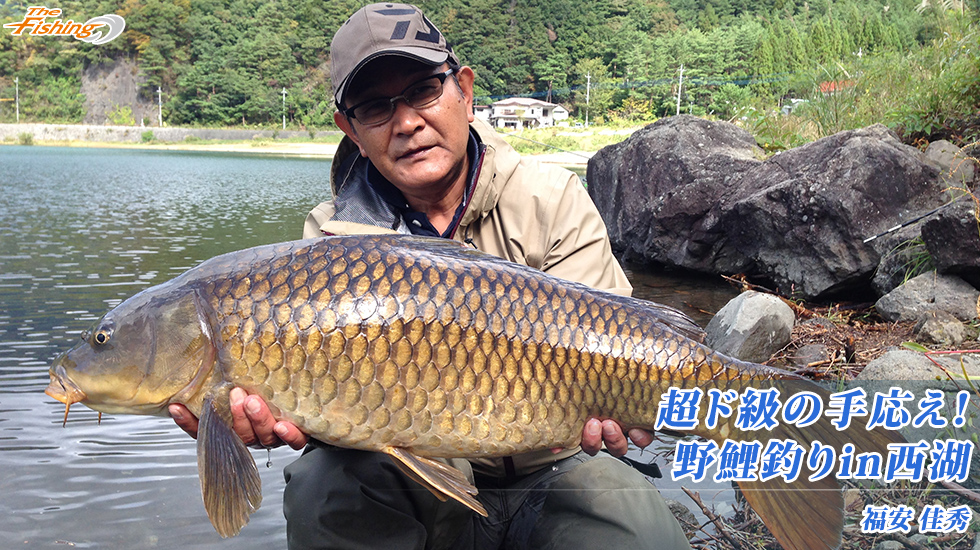 超ド級の手応え！野鯉釣りin西湖