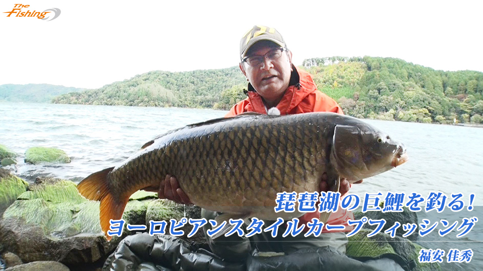 琵琶湖の巨鯉を釣る！ヨーロピアンスタイルカープフィッシング