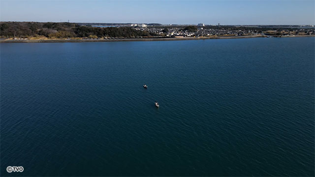 external_image