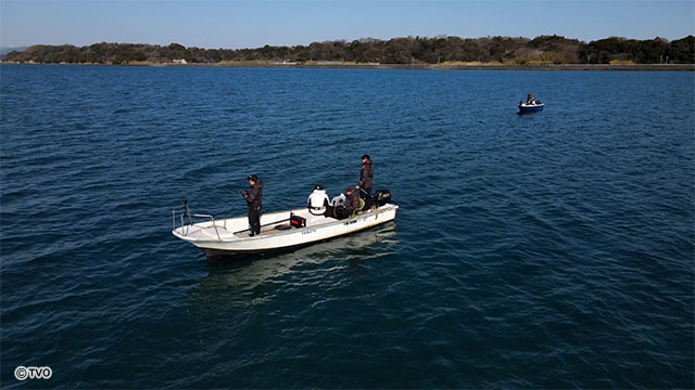external_image