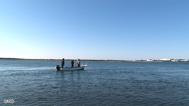 external_image