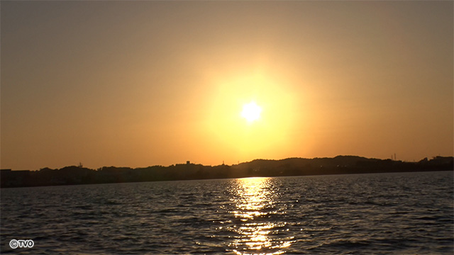 external_image