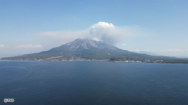 external_image