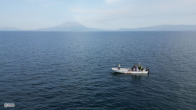 external_image