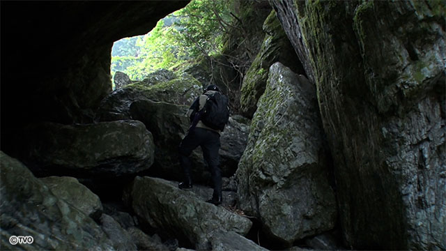 external_image