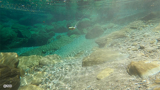 external_image