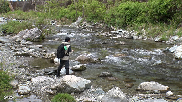 external_image