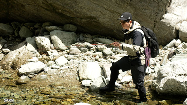 external_image