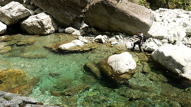 external_image