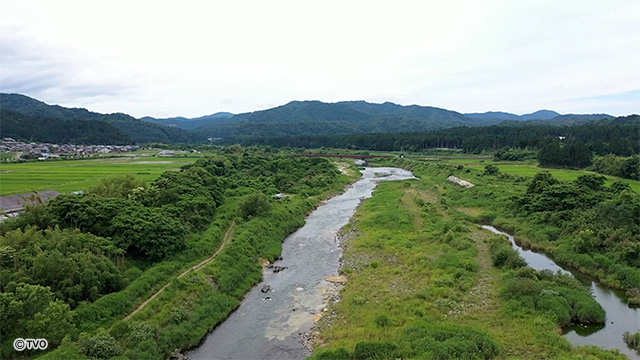external_image