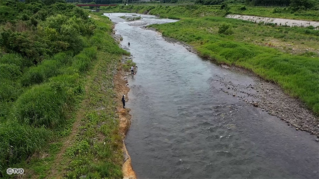 external_image