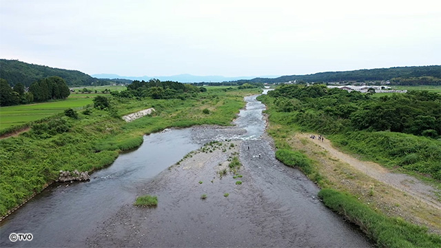external_image