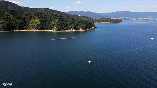 external_image
