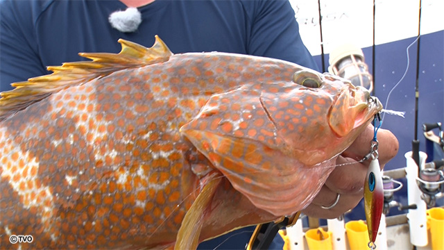 external_image external_image