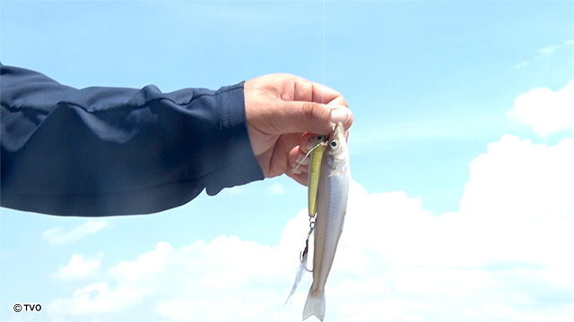 external_image external_image