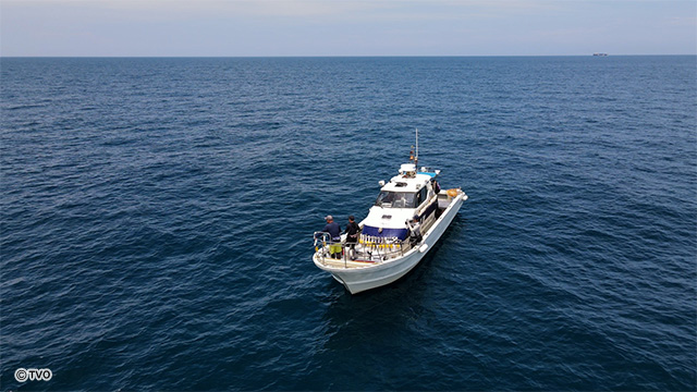 external_image external_image