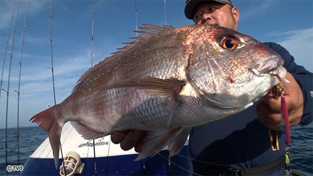 external_image external_image