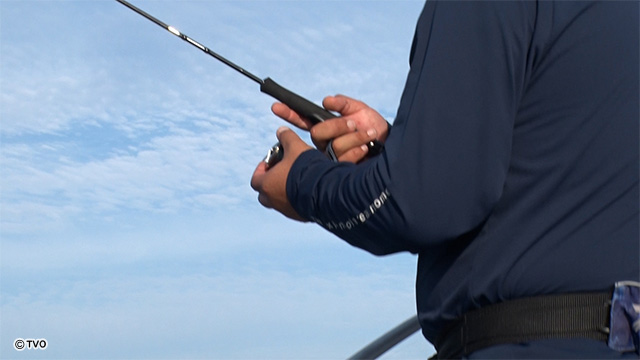 external_image external_image