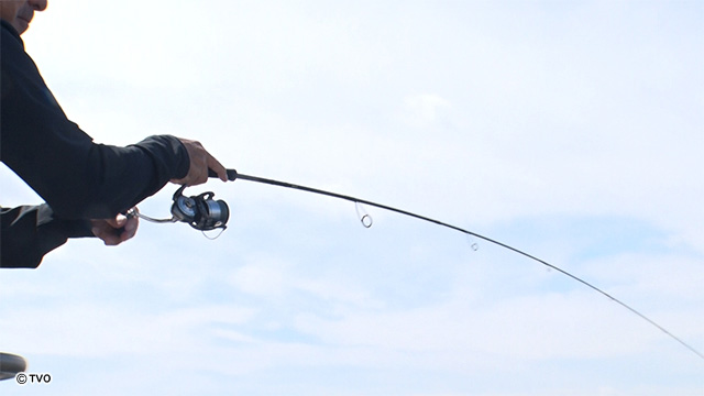 external_image external_image