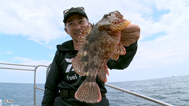 external_image external_image