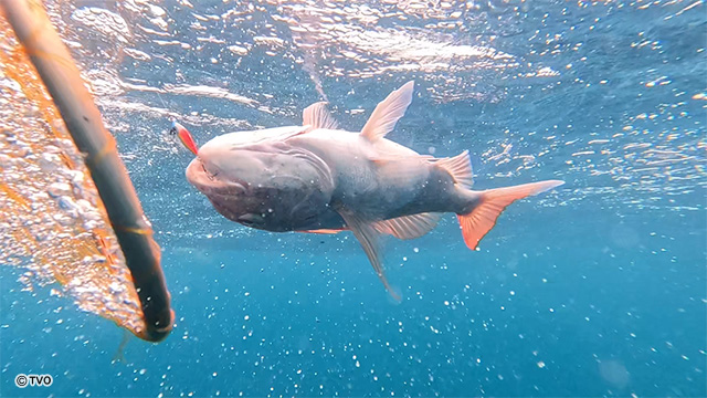 external_image external_image