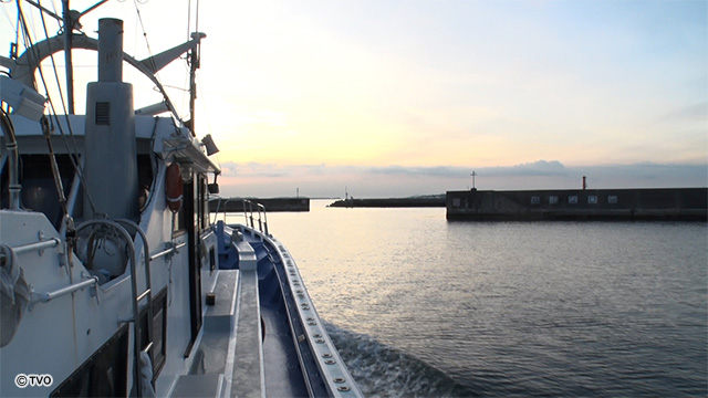 external_image