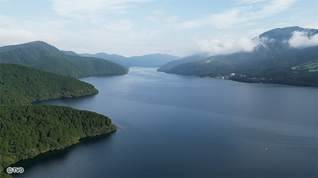 external_image
