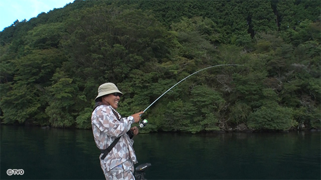 external_image
