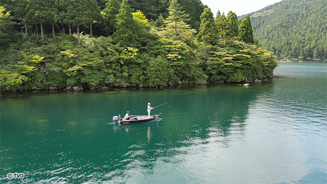 external_image